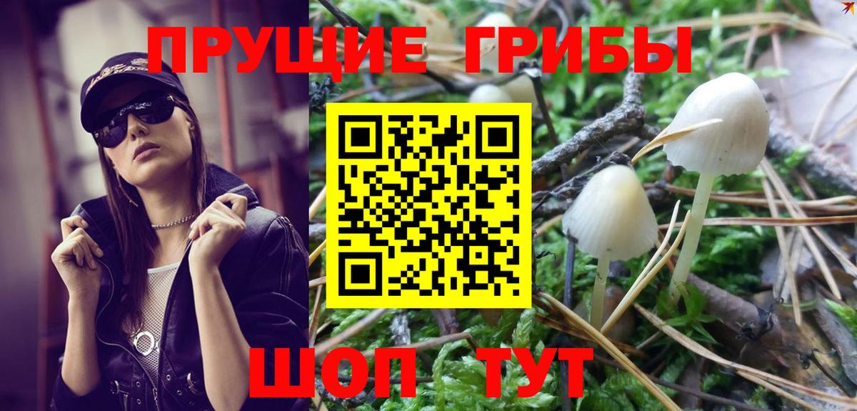 Великий Устюг  Галлюциногенные грибы Psilocybine cubensis  Галлюциногенные грибы мицелий  Вход с VPN 