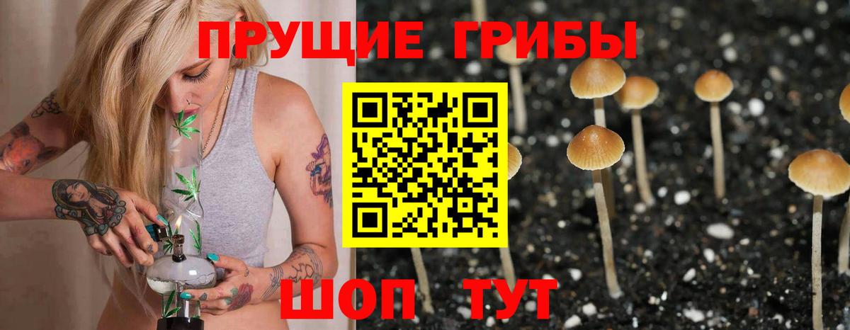 Канабис Великий Устюг