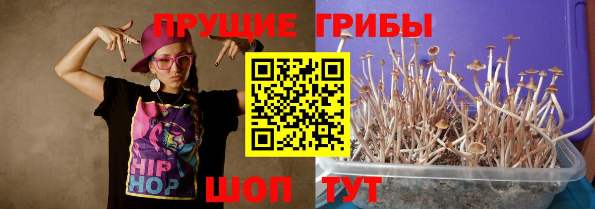 Псилоцибиновые грибы GOLDEN TEACHER Великий Устюг